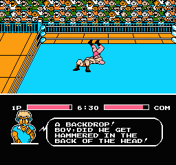 Tecmo World Wrestling (USA) cover art