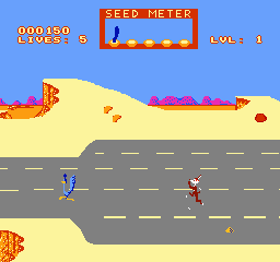 Road Runner (USA) (Unl) cover art