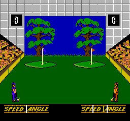 Double Dare (USA) cover art