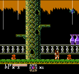 Master Chu & The Drunkard Hu (USA) (Unl) cover art