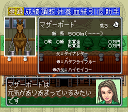 Thoroughbred Breeder III (Japan) cover art