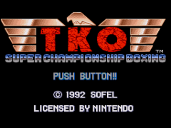 TKO Super Championship Boxing (USA) (Sample) cover art