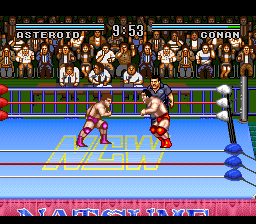 Natsume Championship Wrestling (USA) cover art
