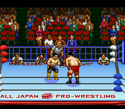 Zen-Nihon Pro Wrestling 2 – 3-4 Budoukan (Japan) cover art
