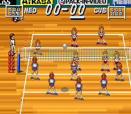 Multi Volleyball (Japan) cover art