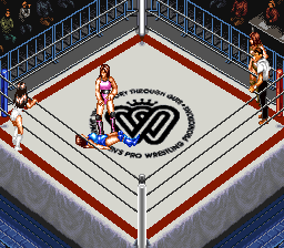 Super Fire Pro Wrestling – Queen’s Special (Japan) cover art