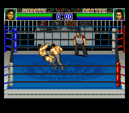 Shin Nihon Pro Wresling Kounin – ’94 Battlefield in Tokyo Dome (Japan) cover art