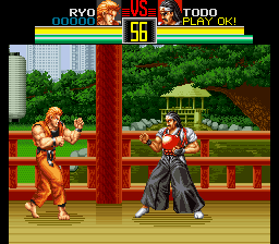 Art of Fighting (Europe) cover art