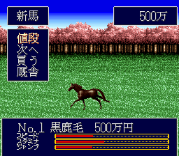 Jumpin’ Derby (Japan)