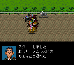 Derby Stallion II (Japan) cover art