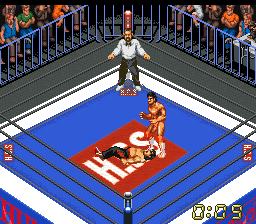 Super Fire Pro Wrestling X Premium (Japan) cover art