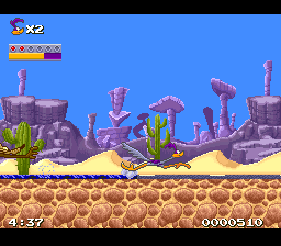 Road Runner’s Death Valley Rally (USA) cover art