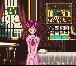 Princess Maker – Legend of Another World (Japan) cover art