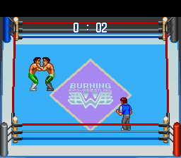 Gekitou Burning Pro Wrestling (Japan) cover art