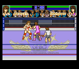 Stardust Suplex (Japan) cover art