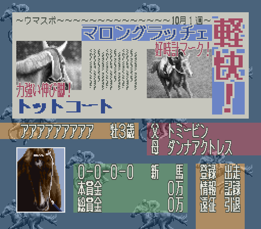 Leading Jockey (Japan) cover art