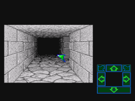 Dungeon Master (Japan) (Rev A) cover art