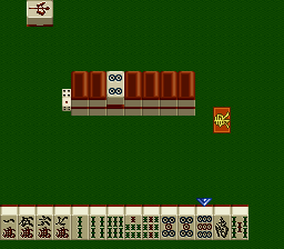 Pro Mahjong Kiwame II (Japan) cover art
