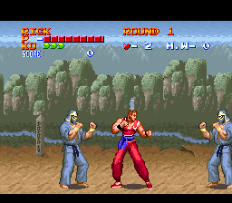 Ultimate Fighter (USA) cover art
