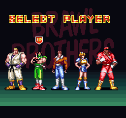 Brawl Brothers – Rival Turf! 2 (Europe)
