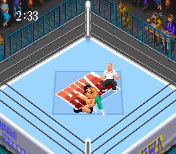 Super Fire Pro Wrestling 2 (Japan) cover art