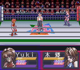 Bishoujo Wrestler Retsuden – Blizzard Yuki Rannyuu!! (Japan) cover art