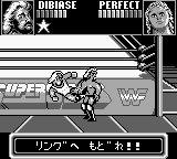 WWF Superstars (Japan) cover art