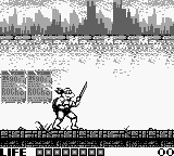 Teenage Mutant Ninja Turtles – Fall of the Foot Clan (USA) cover art