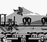 Shaq Fu (USA) cover art