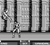 Raging Fighter (USA, Europe) cover art