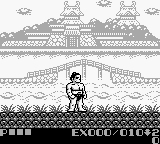 Sumou Fighter – Toukaidou Basho (Japan)
