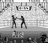 Best of the Best – Championship Karate (Europe) cover art