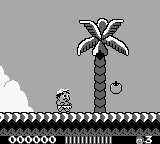 Adventure Island (USA, Europe) cover art
