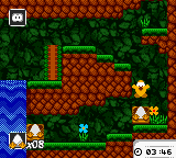 Toki Tori (USA) (En,Ja,Fr,De,Es) cover art