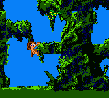 Tarzan (USA, Europe) cover art