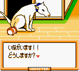 Hamster Paradise 3 (Japan) cover art
