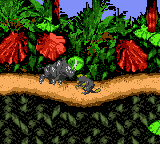 Donkey Kong Country (USA, Europe) (En,Fr,De,Es,It) cover art