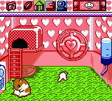 Hamster Paradise (Japan) cover art