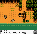 Survival Kids (USA) cover art