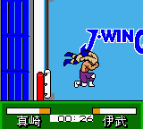 Pocket Pro Wrestling – Perfect Wrestler (Japan) cover art