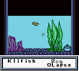 Legend of the River King GB (USA) cover art