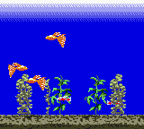 Aqualife (Japan) cover art