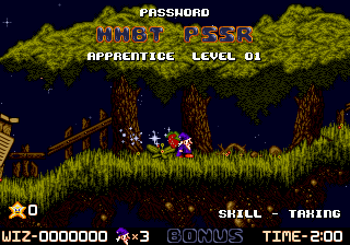 Wiz’n’Liz (USA) cover art