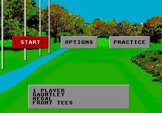 World Class Leaderboard Golf (USA) cover art