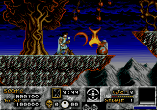 Risky Woods (USA, Europe) cover art