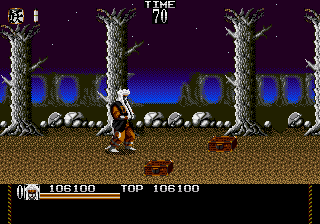 Mystical Fighter (USA) cover art