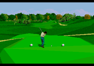 PGA Tour 96 (USA, Europe) cover art