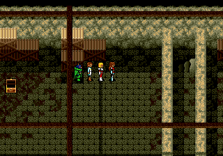 Phantasy Star Iv Usa Bug Fix By Sixfortyfive V1 0 Level 99 Fix cover art
