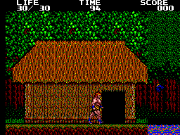 Danan – The Jungle Fighter (Europe) cover art