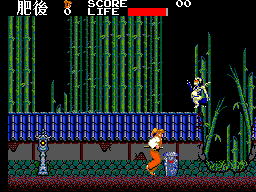 Kenseiden (Japan) cover art